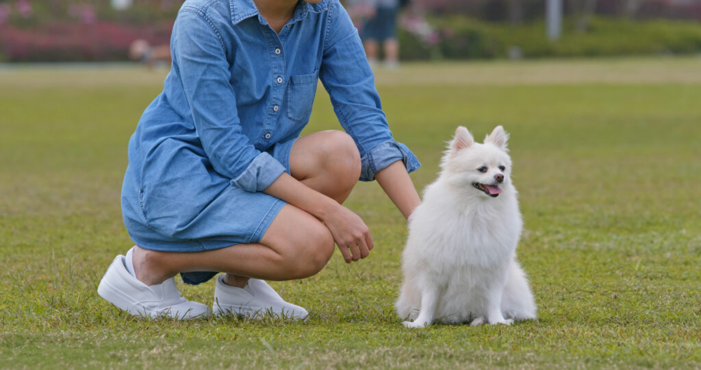 Woman play with her dog at green lawn