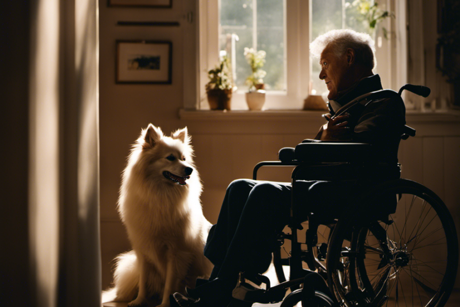 An image showcasing a serene spitz dog sitting beside a wheelchair-bound individual, gently resting its head on their lap