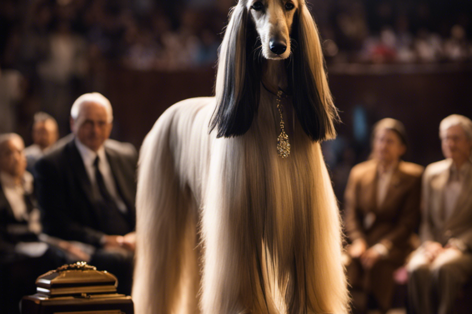 An image that showcases a regal Afghan Hound, poised and elegant, standing on a pedestal while judges scrutinize its flawless coat, emphasizing the importance of breed standards in dog shows